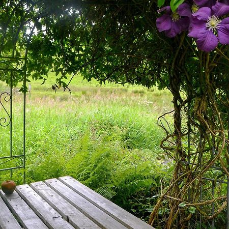 The Cottage Blackwood  Esterno foto