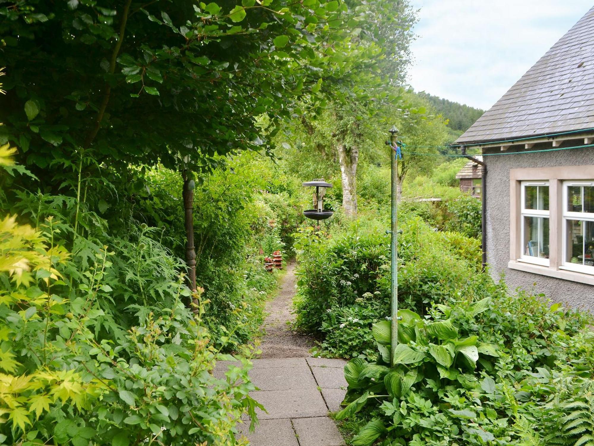 The Cottage Blackwood  Esterno foto