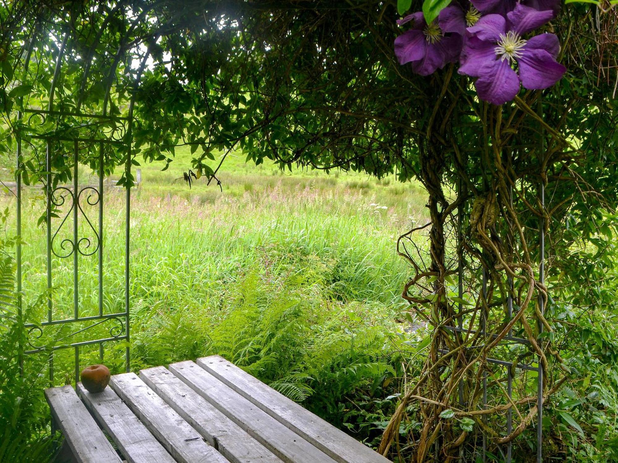The Cottage Blackwood  Esterno foto